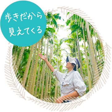 歩きだから見えてくる
