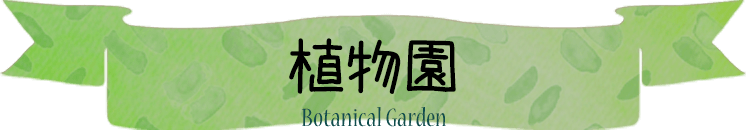 植物園 Botanical Garden
