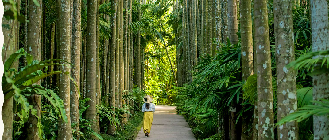 深い緑に癒される植物園エリアイメージ