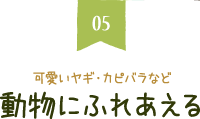 可愛いヤギ・カピバラなど動物にふれあえる