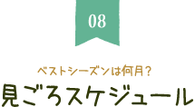 ベストシーズンは何月？見ごろスケジュール