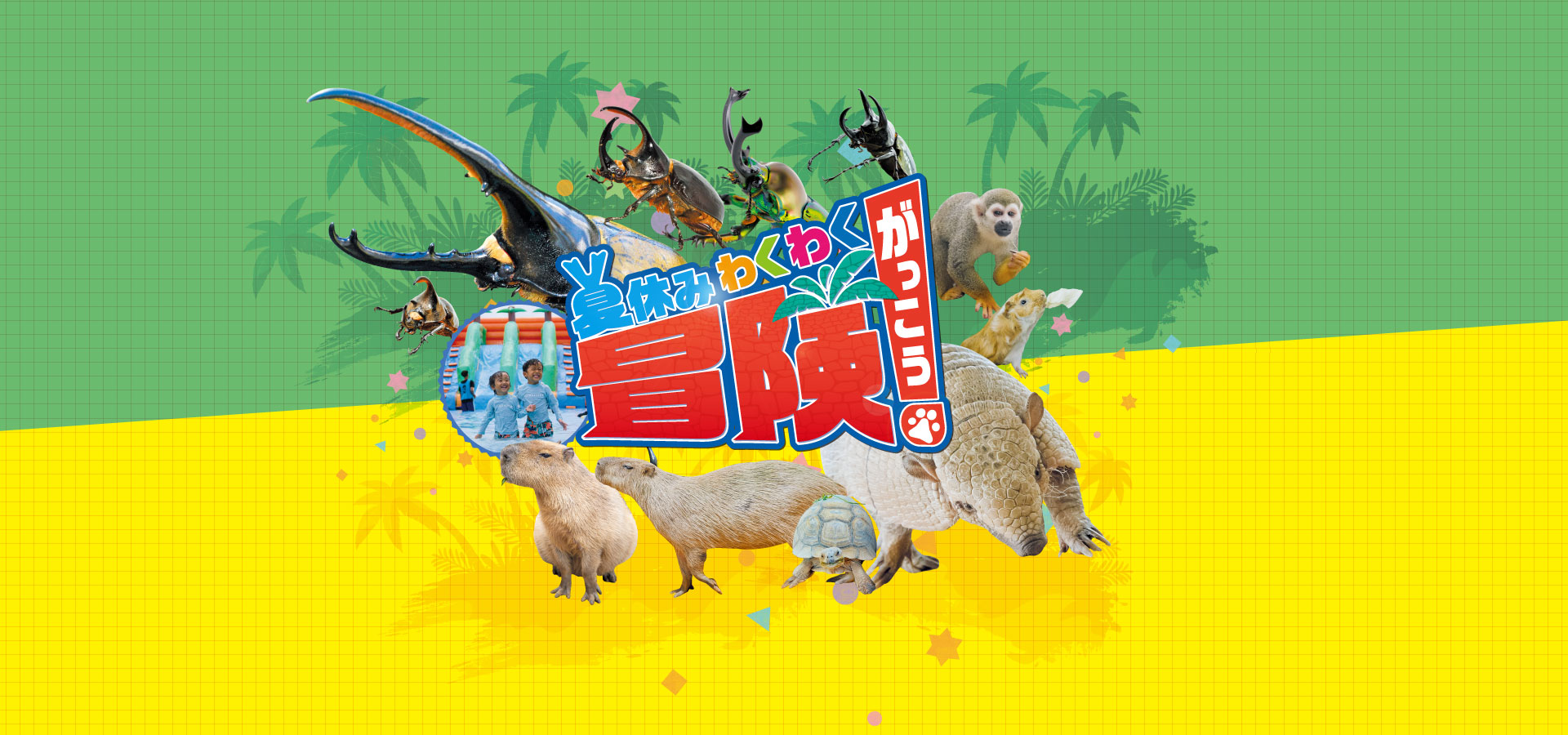 夏休みわくわく冒険学校 2025 | 【公式】東南植物楽園 | 沖縄北インターからすぐ　