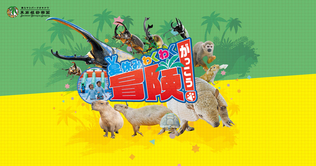 夏休みわくわく冒険学校 2025 | 【公式】東南植物楽園 | 沖縄北