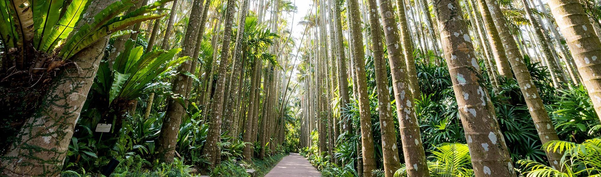 東南植物樂園