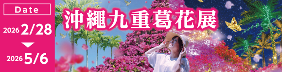 おきなわブーゲンフェア 2026/2/28～5/6