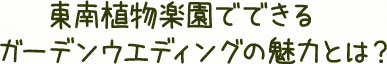 東南植物楽園でできるガーデンウエディングの魅力とは？